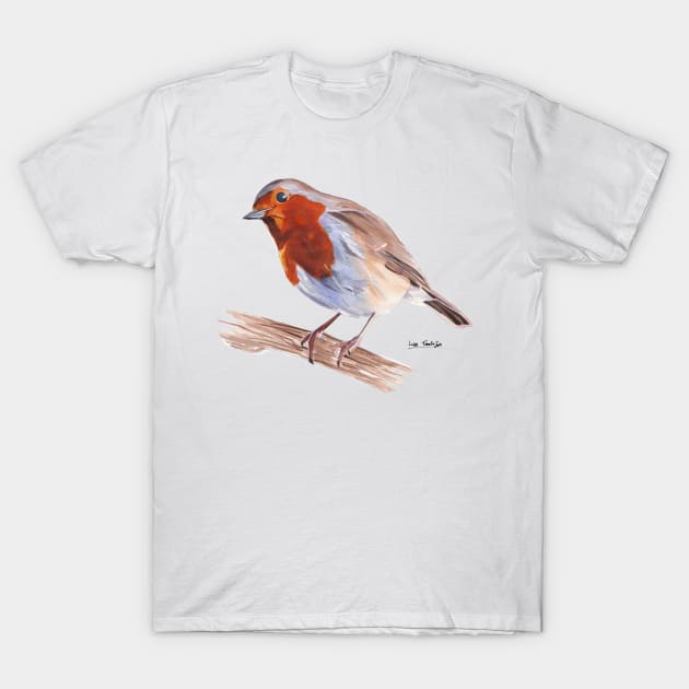 Robin T-Shirt by lucafon18
